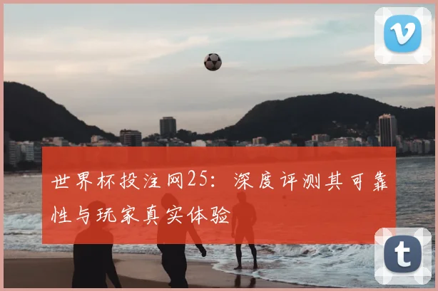 世界杯投注网25：深度评测其可靠性与玩家真实体验