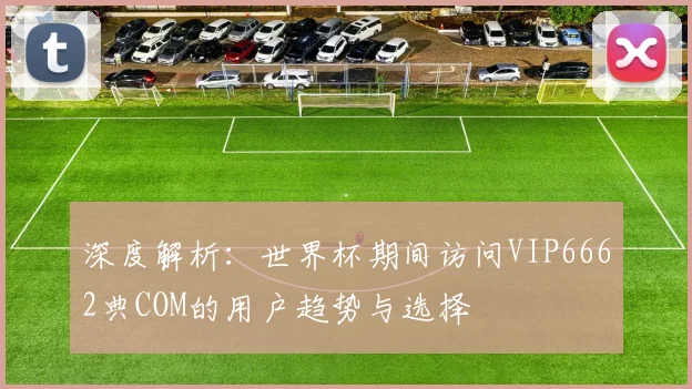 深度解析:世界杯期间访问VIP6662典COM的用户趋势与选择