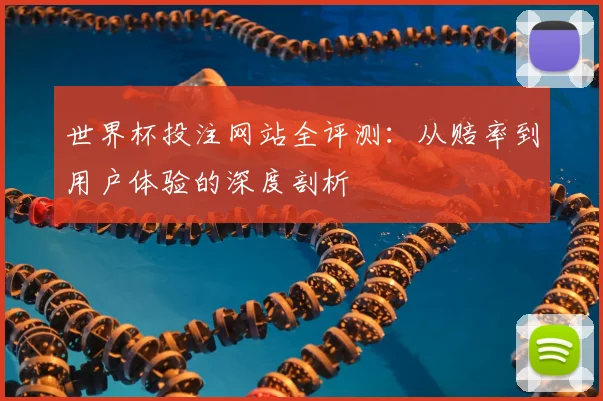 世界杯投注网站全评测：从赔率到用户体验的深度剖析