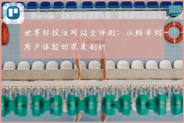 世界杯投注网站全评测：从赔率到用户体验的深度剖析