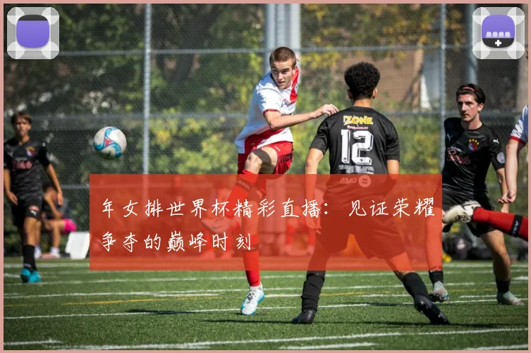 年女排世界杯精彩直播：见证荣耀争夺的巅峰时刻