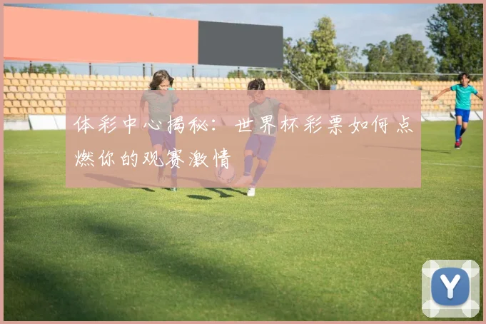 体彩中心揭秘：世界杯彩票如何点燃你的观赛激情